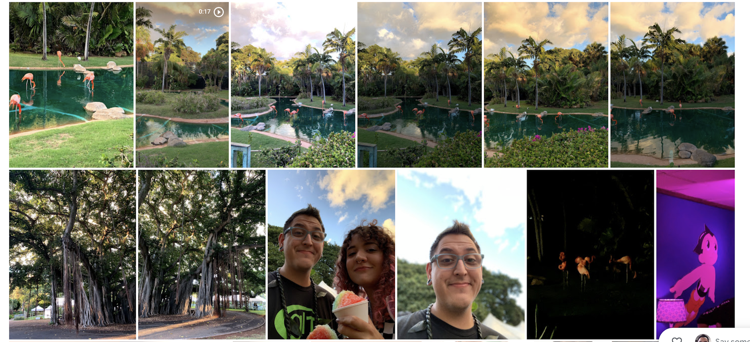 A grid featuring photos of flamingos in a reflective blue-green pool surrounded by nature and me and Thais Laney eating frozen ice